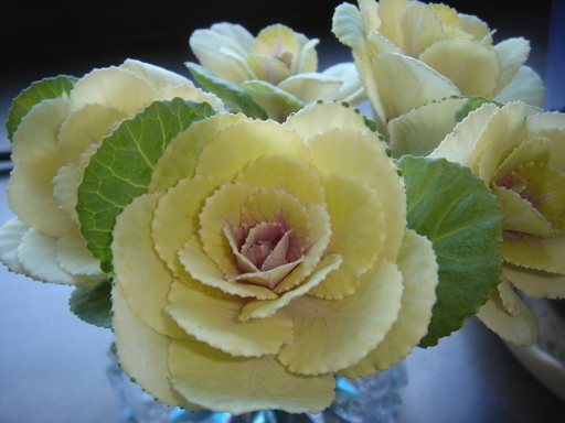 �^�N����́u��͉��|�v