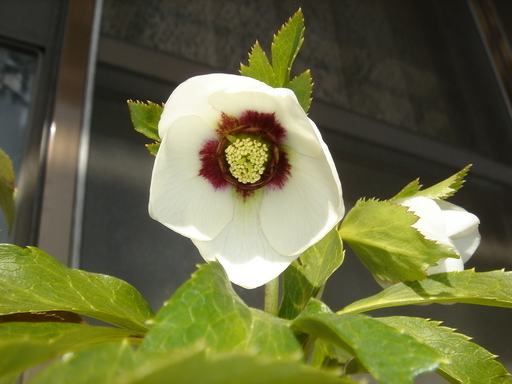 �^�N����́u��͉��|�v