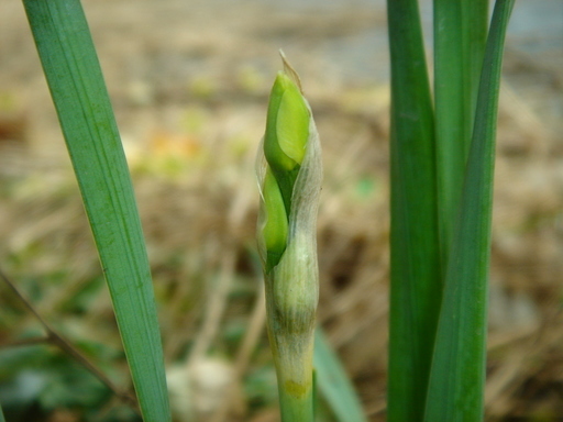 �^�N����́u��͉��|�v