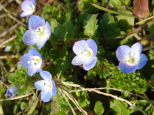 �^�N����́u��͉��|�v