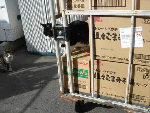 �^�N����́u��͉��|�v