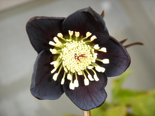 �^�N����́u��͉��|�v