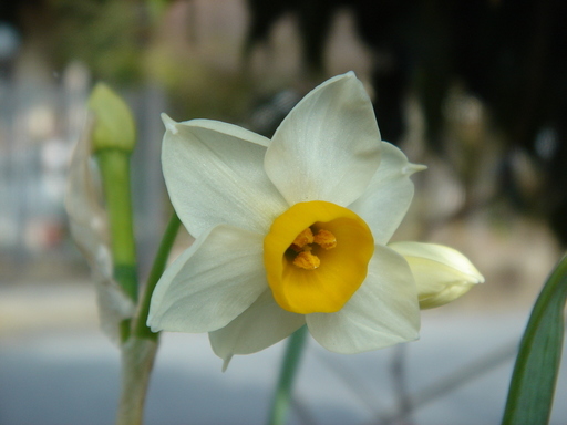 �^�N����́u��͉��|�v