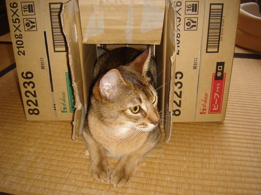 �^�N����́u��͉��|�v