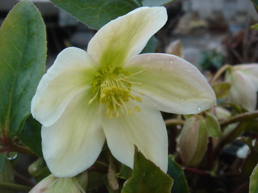 �^�N����́u��͉��|�v