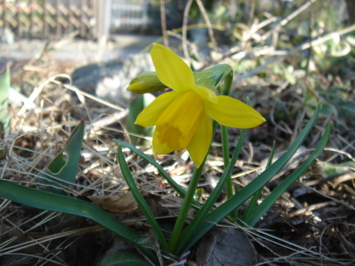 �^�N����́u��͉��|�v