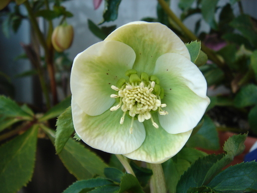 �^�N����́u��͉��|�v