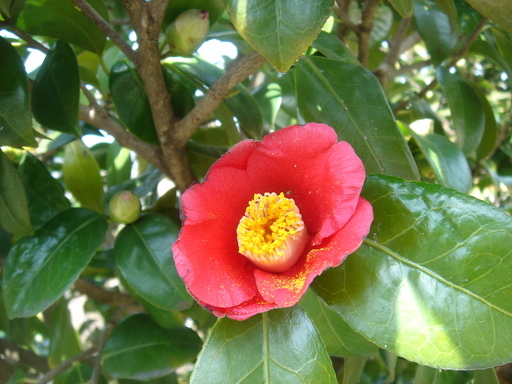 �^�N����́u��͉��|�v