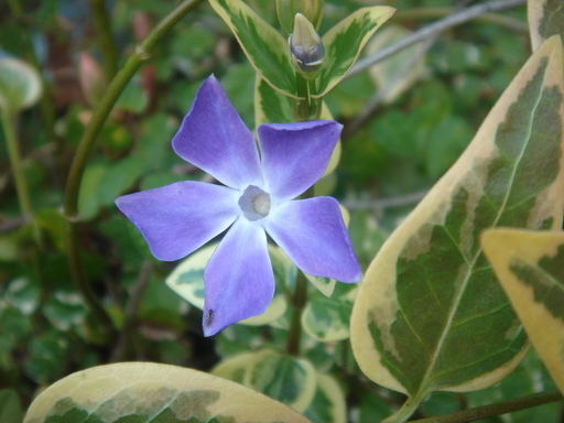 �^�N����́u��͉��|�v