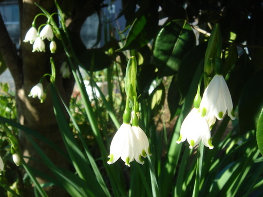 �^�N����́u��͉��|�v