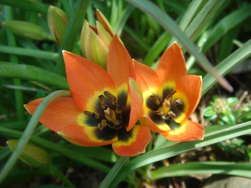 �^�N����́u��͉��|�v