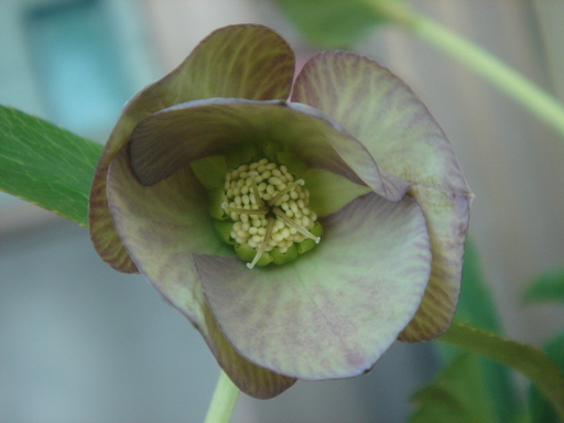 �^�N����́u��͉��|�v