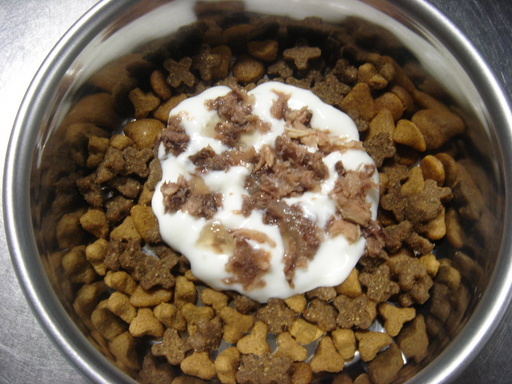 �^�N����́u��͉��|�v