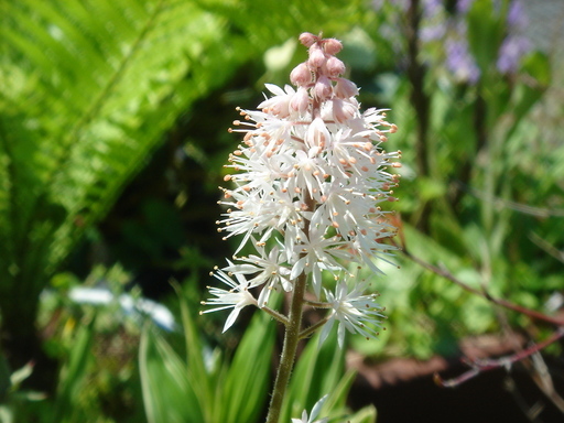 �^�N����́u��͉��|�v