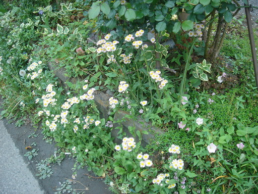 �^�N����́u��͉��|�v