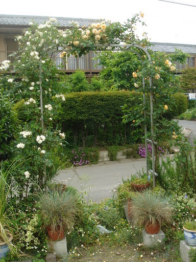 �^�N����́u��͉��|�v