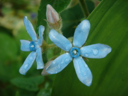 �^�N����́u��͉��|�v