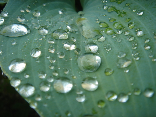 �^�N����́u��͉��|�v