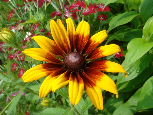 �^�N����́u��͉��|�v