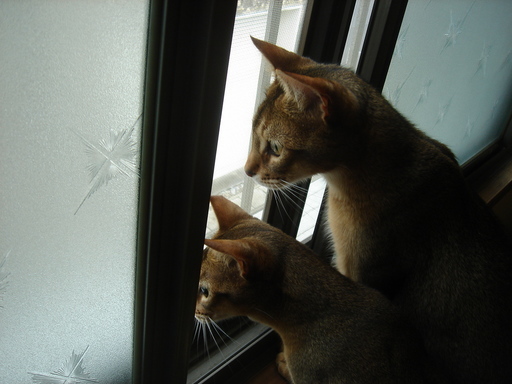 �^�N����́u��͉��|�v