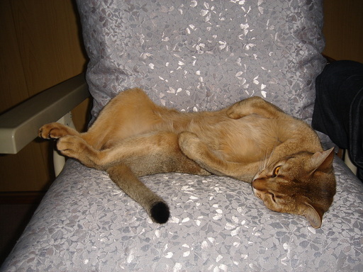 �^�N����́u��͉��|�v