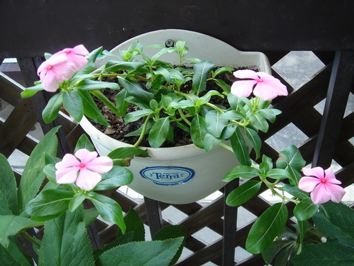 �^�N����́u��͉��|�v