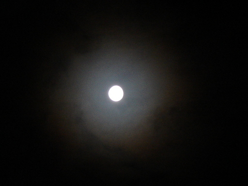 �^�N����́u��͉��|�v