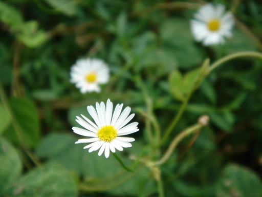 �^�N����́u��͉��|�v