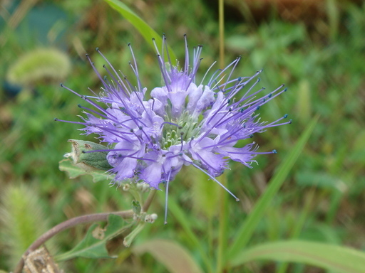 �^�N����́u��͉��|�v