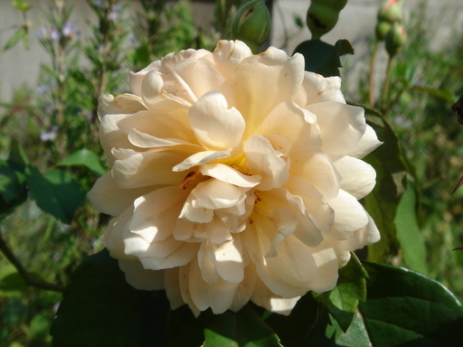 �^�N����́u��͉��|�v