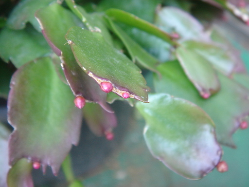 �^�N����́u��͉��|�v