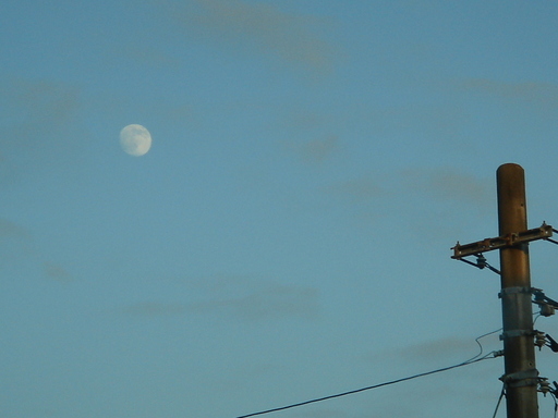 �^�N����́u��͉��|�v