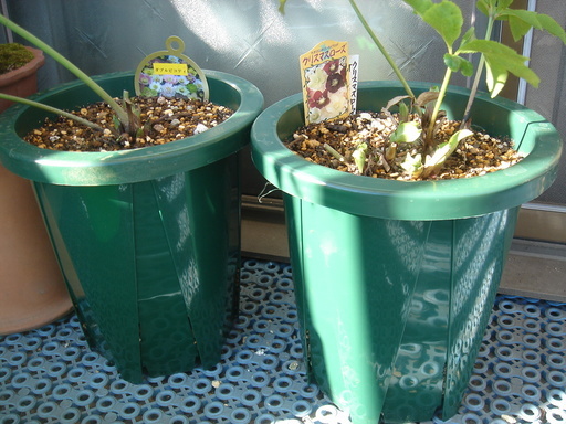 �^�N����́u��͉��|�v