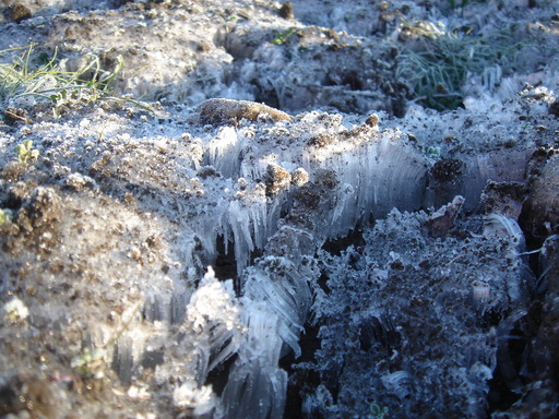 �^�N����́u��͉��|�v