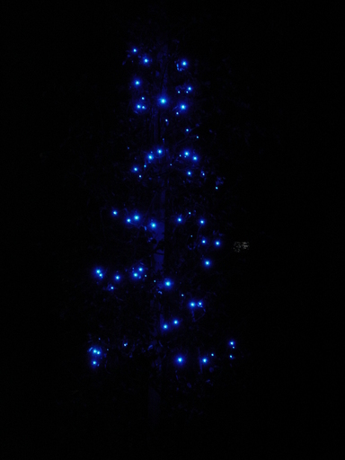 �^�N����́u��͉��|�v