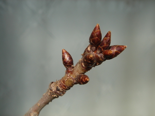 �^�N����́u��͉��|�v