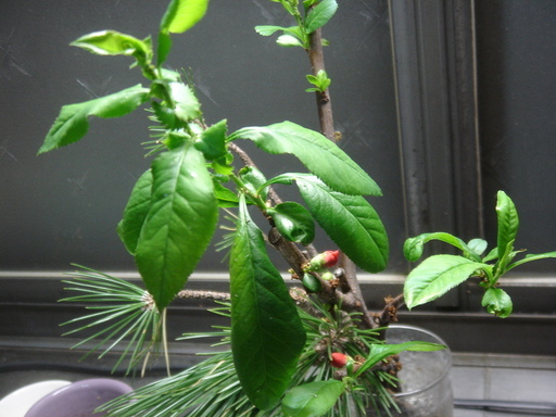 �^�N����́u��͉��|�v