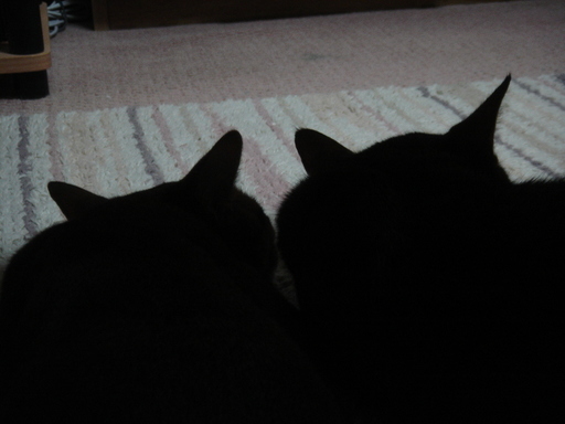 �^�N����́u��͉��|�v