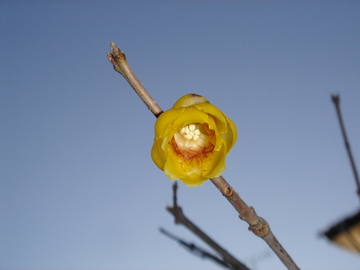 �^�N����́u��͉��|�v