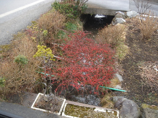 �^�N����́u��͉��|�v