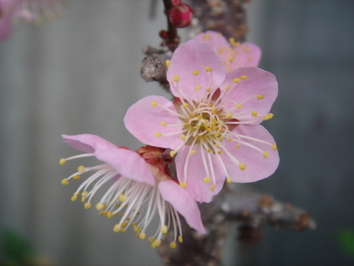 �^�N����́u��͉��|�v