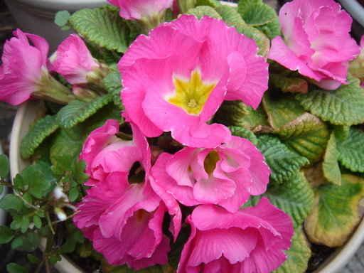 �^�N����́u��͉��|�v