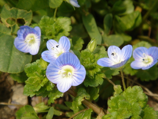 �^�N����́u��͉��|�v