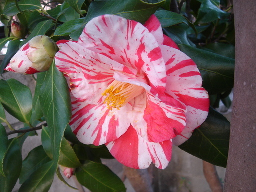 �^�N����́u��͉��|�v