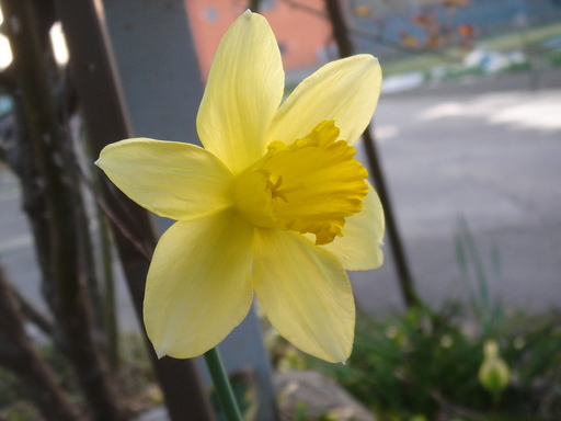 �^�N����́u��͉��|�v