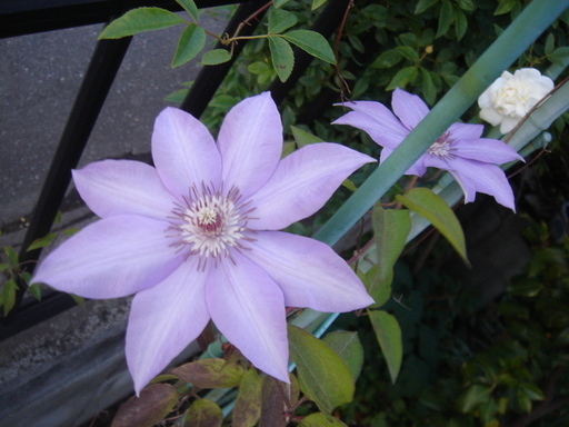 �^�N����́u��͉��|�v