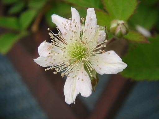 �^�N����́u��͉��|�v