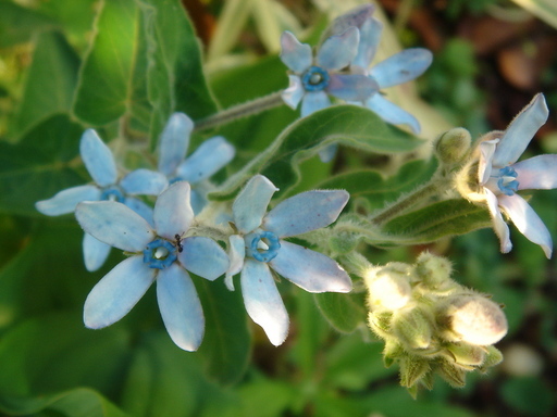 �^�N����́u��͉��|�v