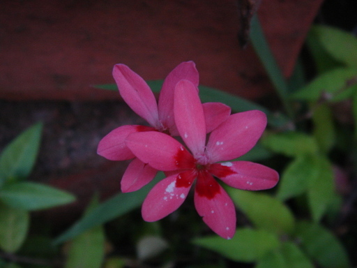 �^�N����́u��͉��|�v