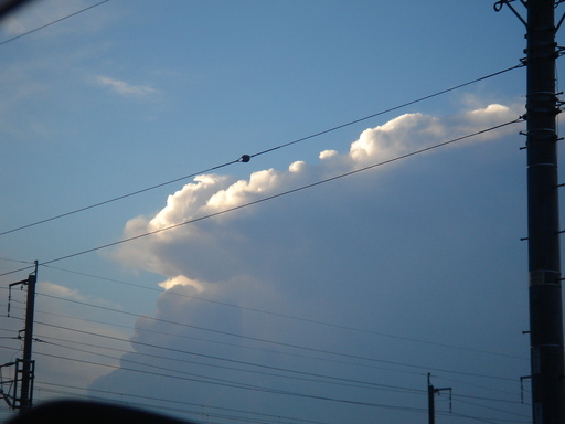 �^�N����́u��͉��|�v